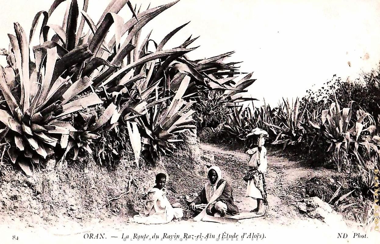 Oran - Ravin Raz-El-Ain - Route  - 1905.jpg